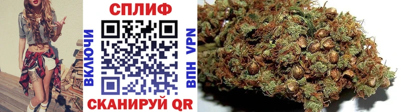 как найти закладки  Дагестанские Огни  Бошки марихуана конопля 